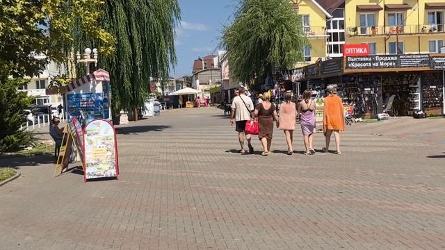 Вот они верблюд и ежик
