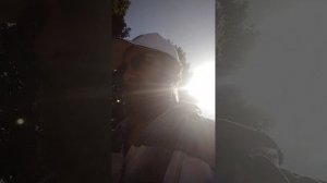 пчеловод изверг