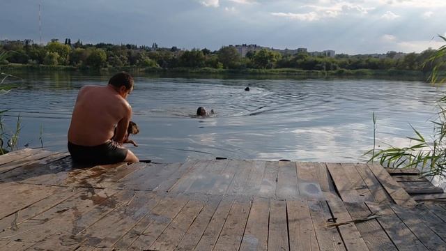 Купаемся все и Бабай, вода теплая