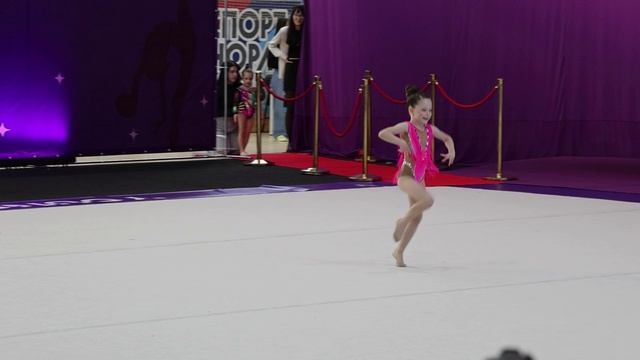 Соревнования по художественной гимнастике 16.11.2025 г. Новосибирск, спортивный клуб 