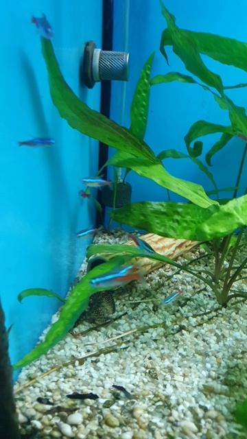 Подводный мир🐢🐋🐳🐬🐟🦭🐠🐡🦈🐙🦀🦐🦞🦑🐚🦠