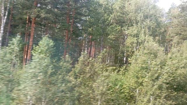 Вид из окна электропоезда 