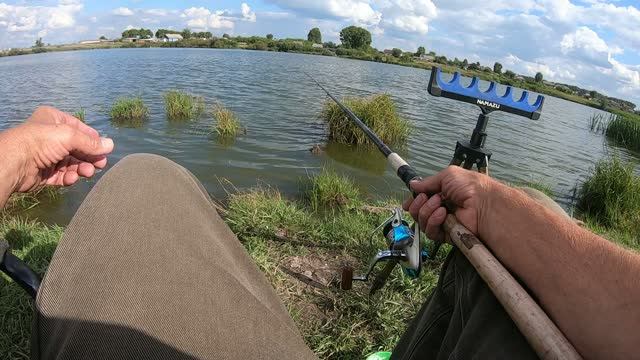 Теперь я знаю где ловить живца! Рыбалка. 23.08.2026 г.