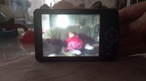Стёпа и рыжулькин лучшие друзья