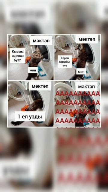 Татарские приколы - мемы