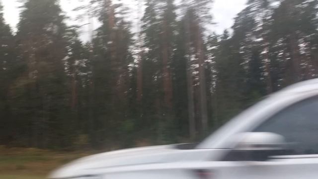 я еду домой  с концерта