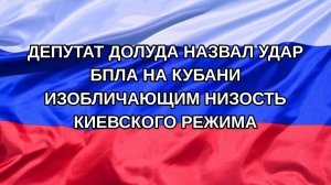 |Н. РФ| Депутат Долуда назвал удар БПЛА на Кубани изобличающим низость киевского режима