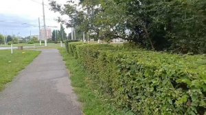 Съездила в город.