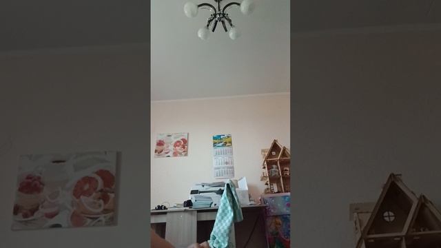 для  попугаяв?