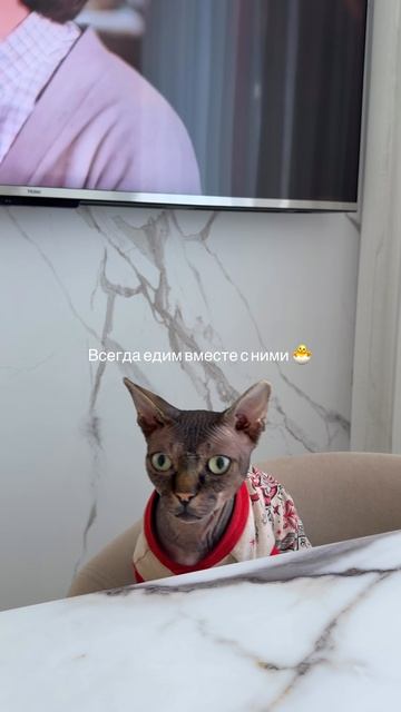 😁