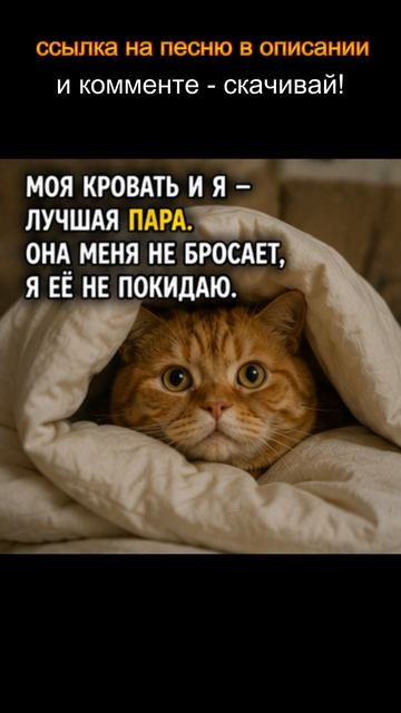 DKWX  - Навсегда с тобой    #юмор #прикол #смешно #мем#настроение #танцы#romanticmusic #dancemusic