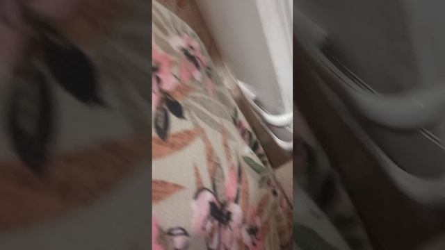 ОГУРЕЦ К СОСЕДКЕ!!