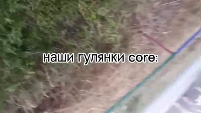 собака украла мою сумку