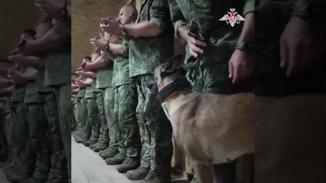 Награждение военных инженеров ГрВ «Запад»