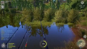 Russian Fishing 4 383 серия снова карасики