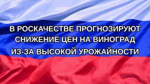 |Н. РФ| В Роскачестве прогнозируют снижение цен на виноград из-за высокой урожайности