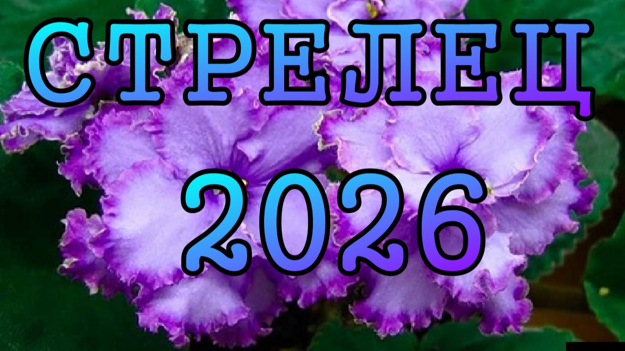 СТРЕЛЕЦ таро прогноз на 2026 ГОД.