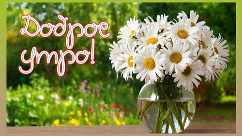 С ДОБРЫМ ЛЕТНИМ УТРОМ!