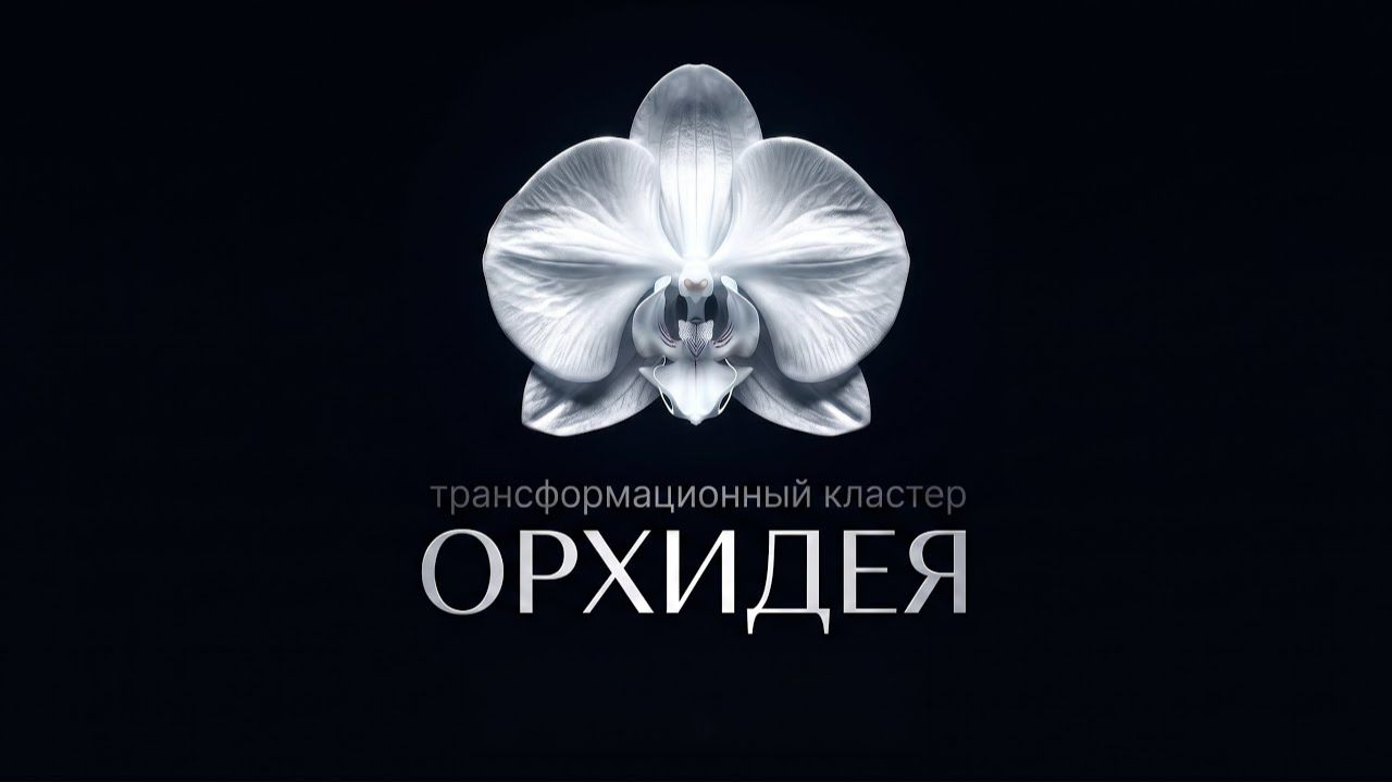 Авторские цифровые ритуалы | HIMERA