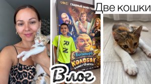 Сходили на «Колобка» / Завели ещё одного котенка / Как они встретили друг друга? 🐱😼