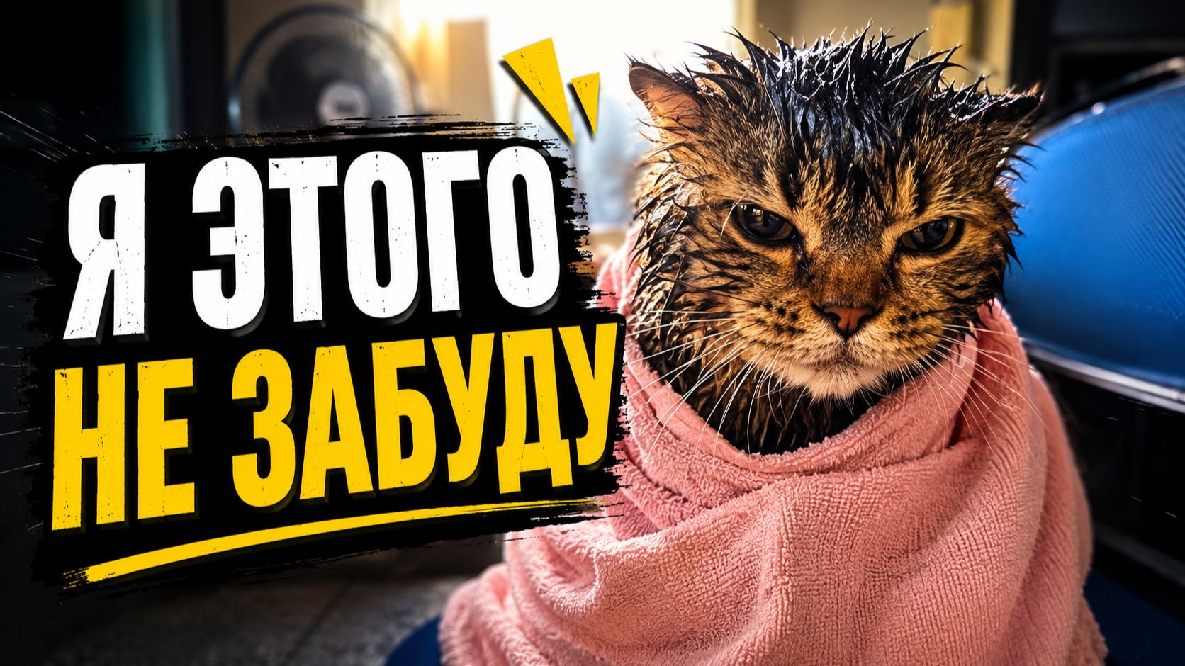 Смех до слёз: лучшие приколы №316