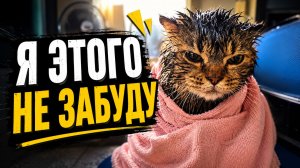 Смех до слёз: лучшие приколы №316