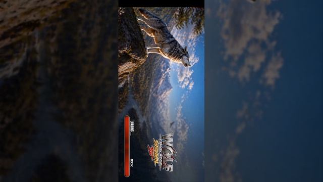 SVID_20260823_075121_1.mp4