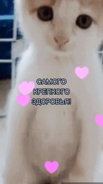 хорошего дня