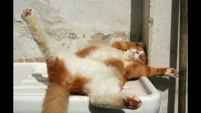 На улице мелодия играла. Поп-соул - стихи Виктора Левашова, Ярославль.