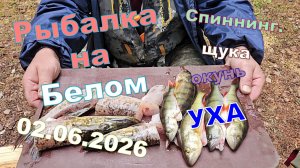 Спиннинговая рыбалка. УХА, 2.06.2026 Белое озеро.