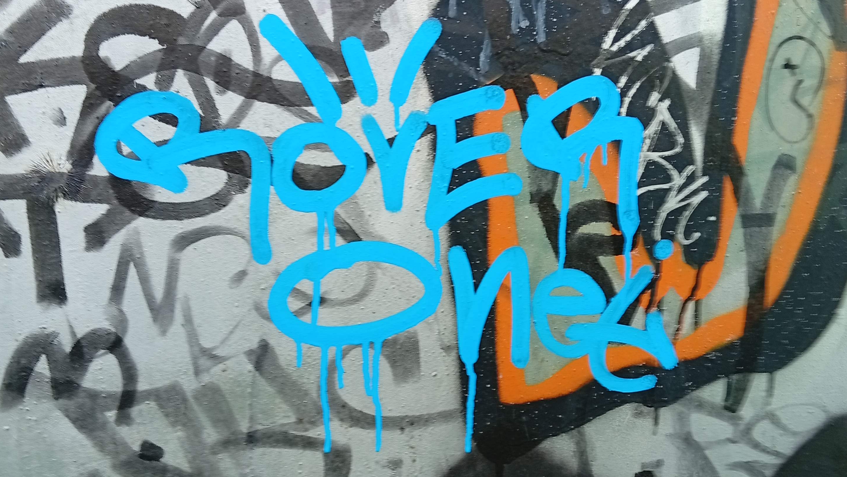 Tagging In Kostroma With A 10mm Squizer Marker With Acrylic Filling