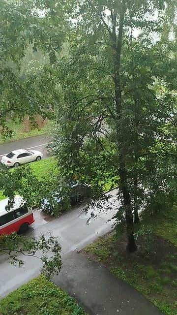 погода из Санкт-Петербурга