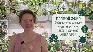 Белка Сид в прямом эфире! Все про GROWBOX Маркет! Запись стрима.