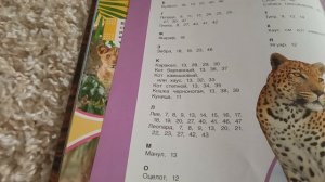 реакция на мою книгу (Больше кошки дикие животные Африки) часть 4 конец
