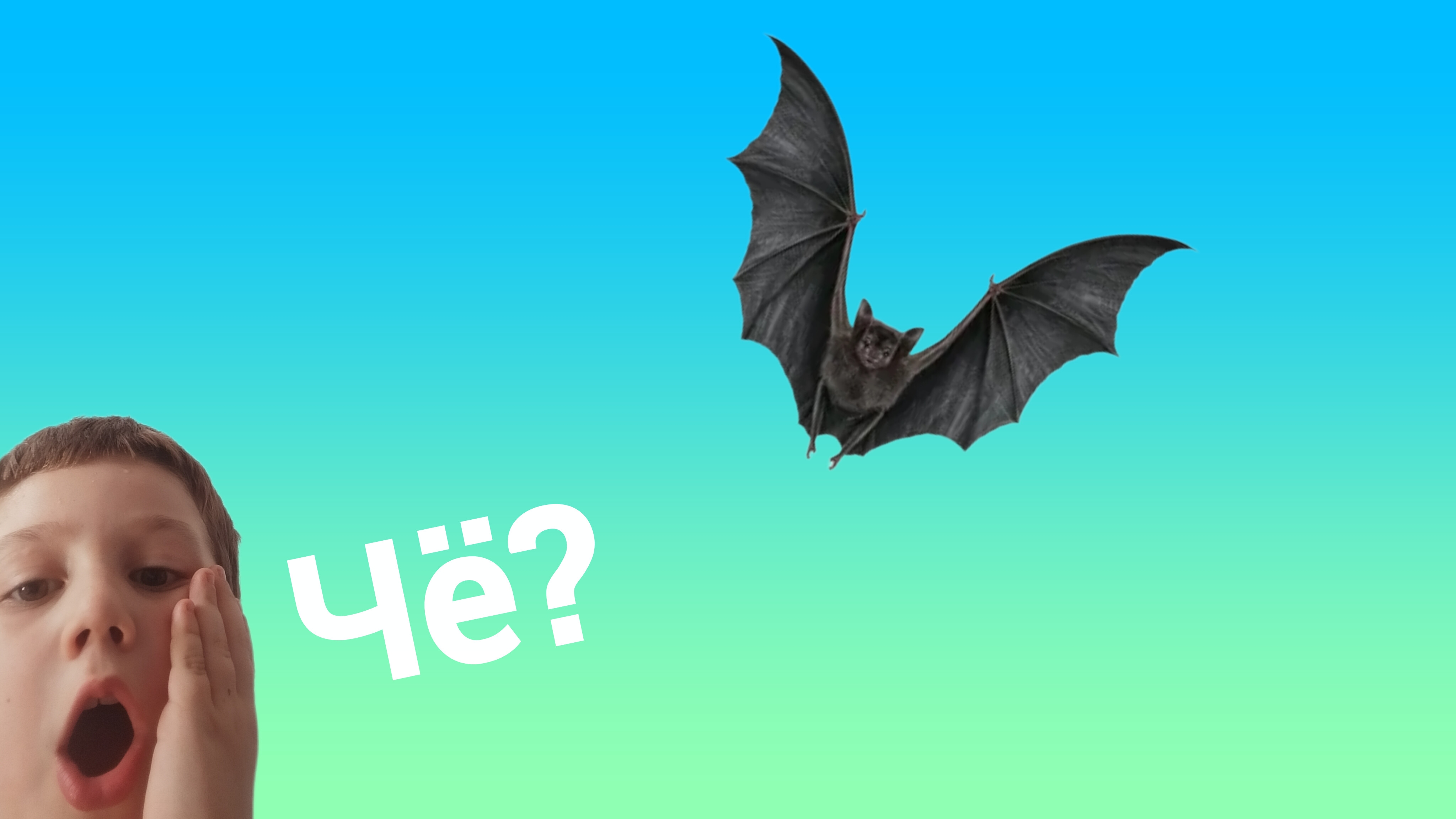 Шашлычки на Природе! Видосик