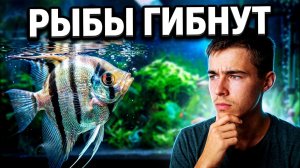 Страшная история от Юного Аквариумиста! Когда рыбки мрут как мухи...