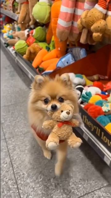 Выбор сделан, пробейте😊))