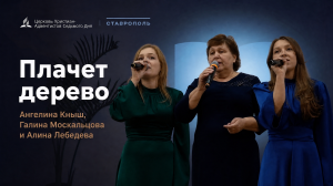 Плачет дерево — трио
