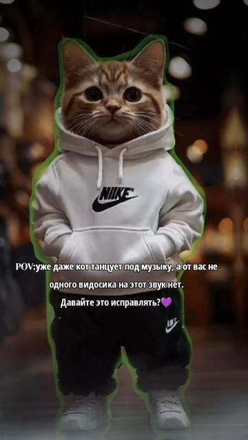 Ребят давайте сделаем  несколько видосиков под этот звук  а то уже коты начали атакой тренд танцева