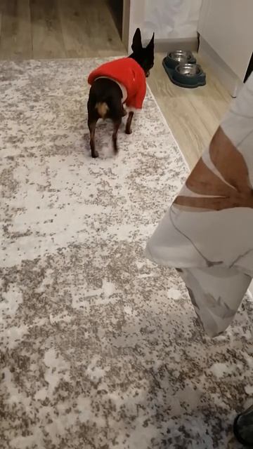 Наше любимая Боня!