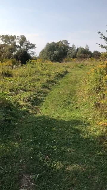 Полевая дорога
