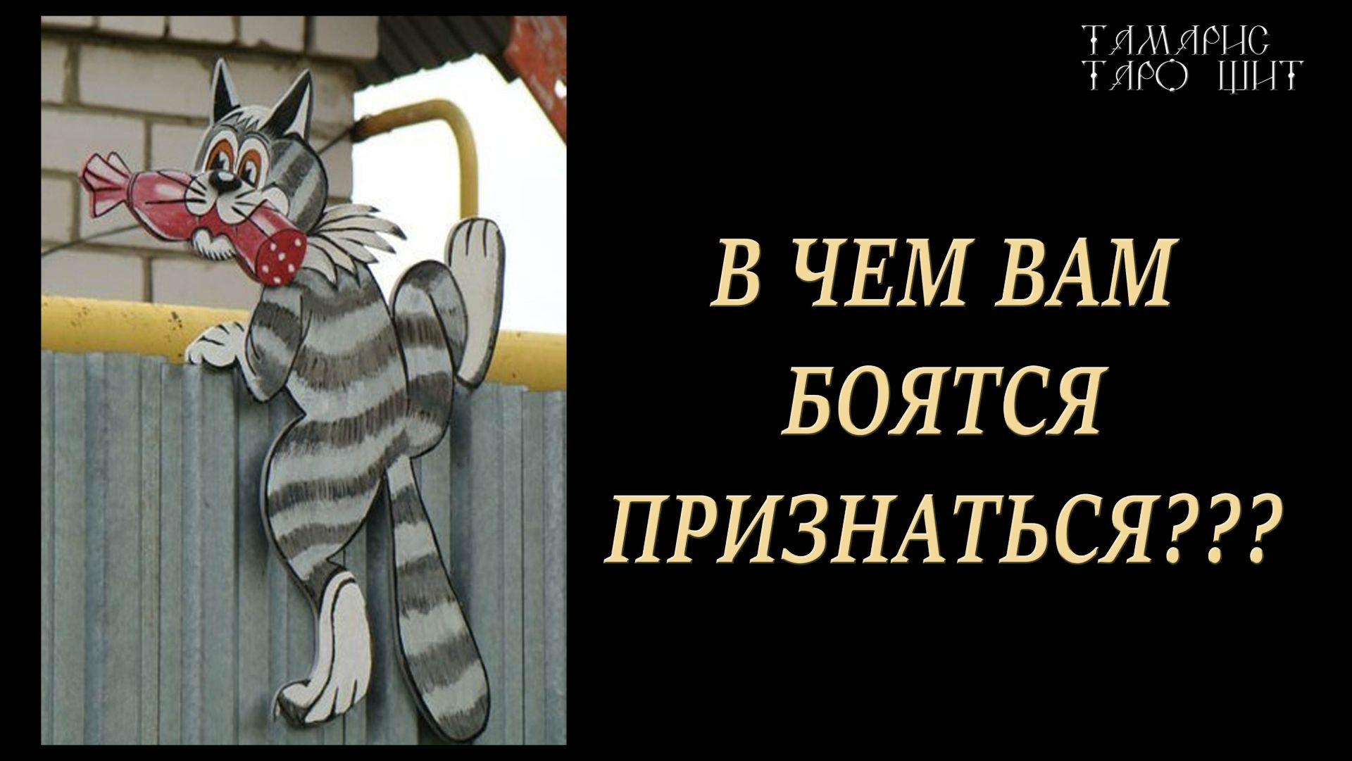 В чем вам боятся признаться  гаданияраскладтароtamaris777tarot