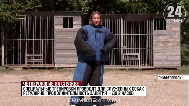 Как работают сотрудники кинологической службы Симферополя со своими подопечными?