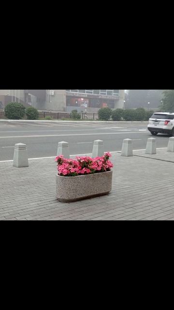 Доброго дня! Цветочное настроение.