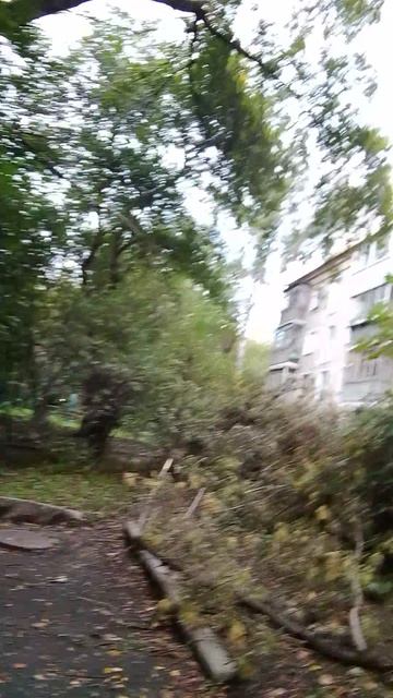 как будто опять в СССР 🥰👍
