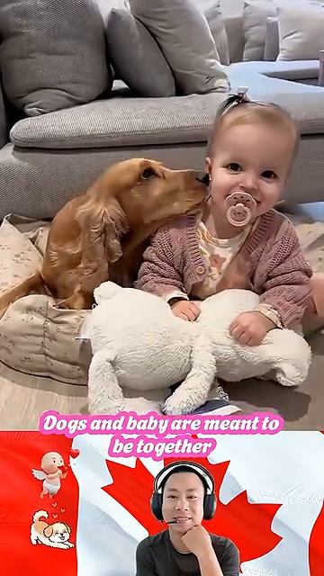 милота ❤️
