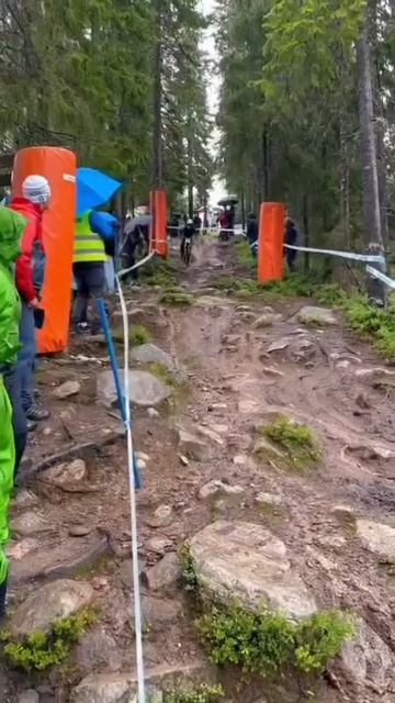 Веселые покатушки.