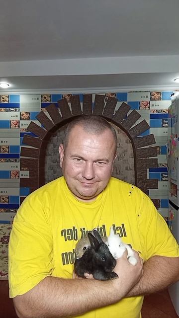кролики