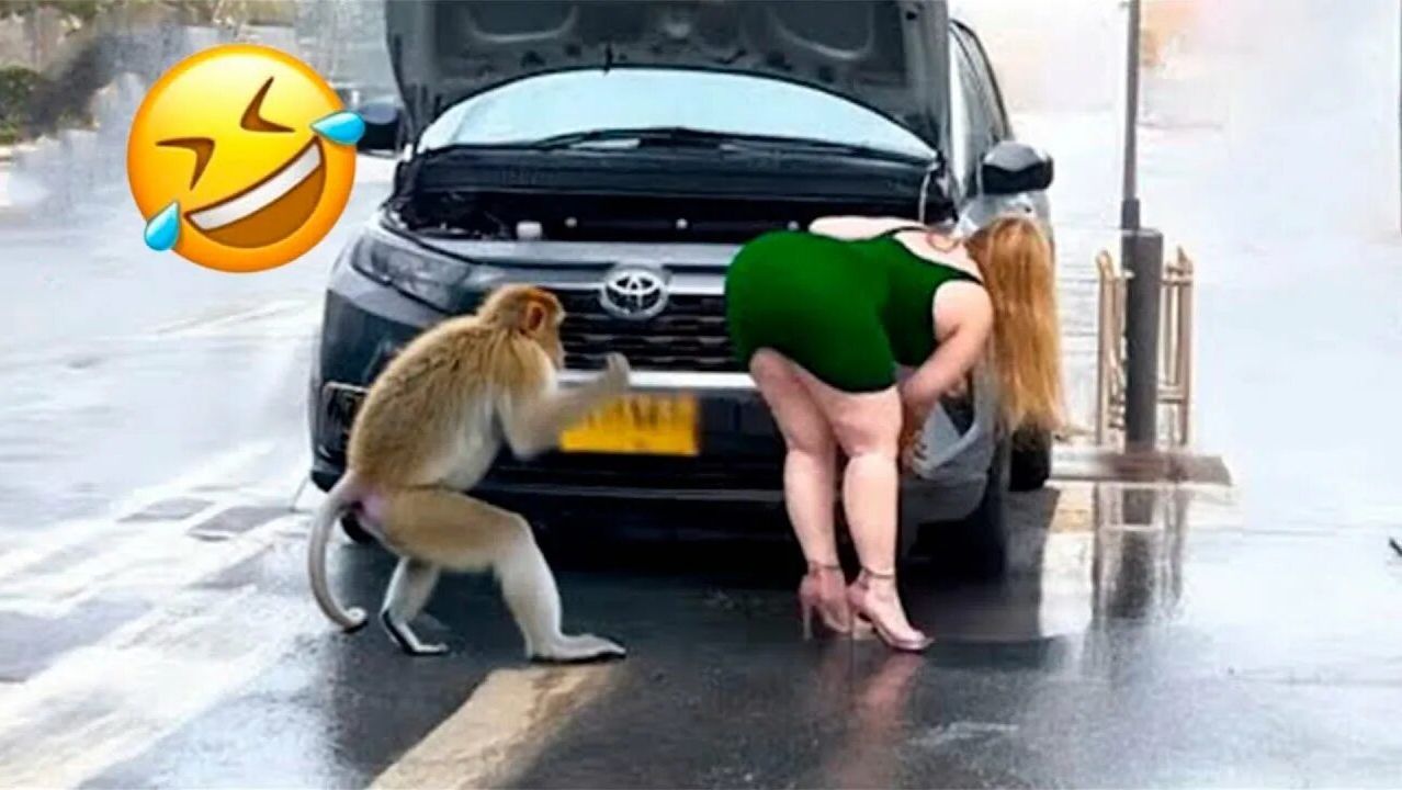 Эти приколы взорвут твой мозг — я не мог остановиться смеяться 🤣