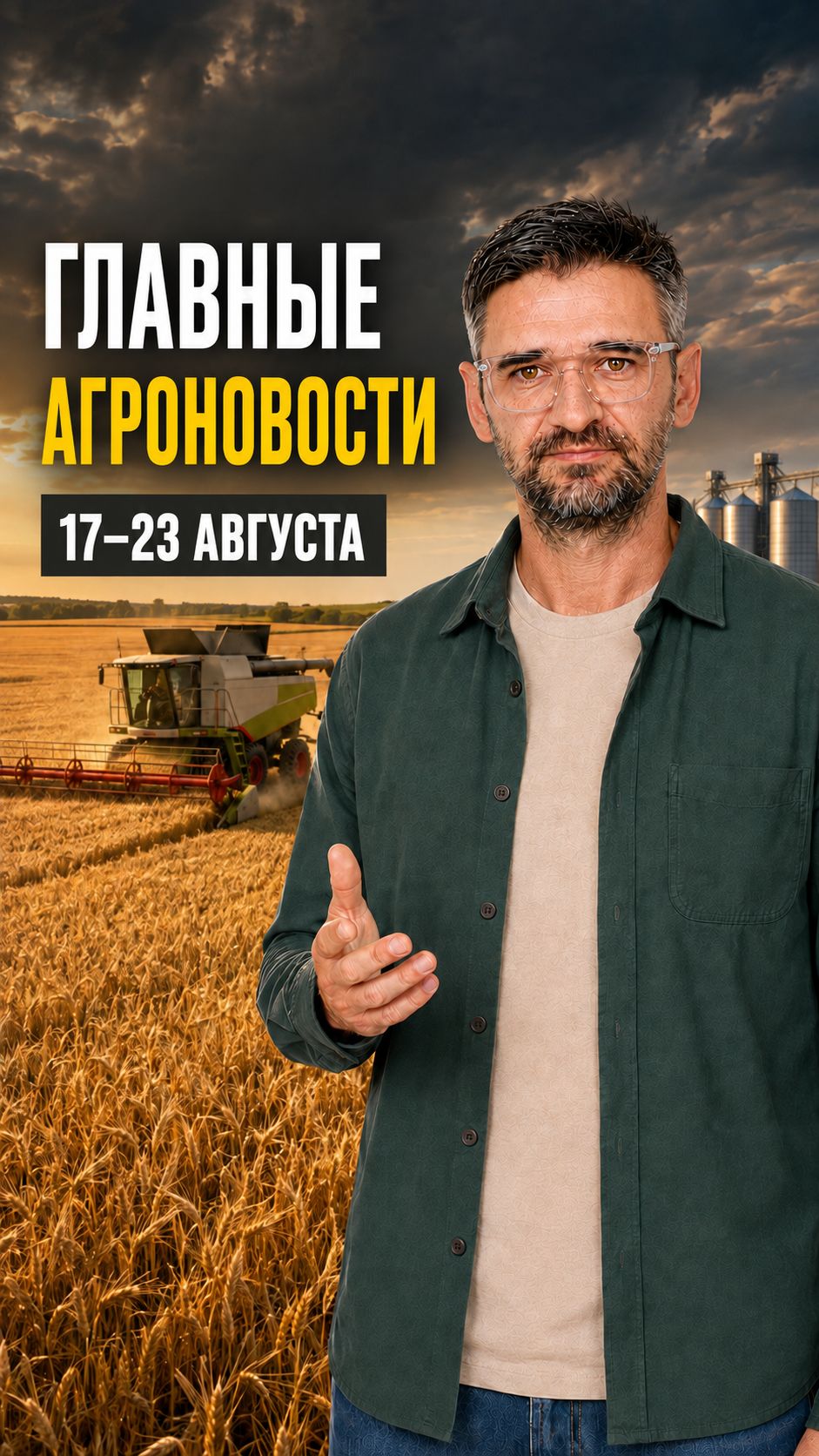 Пшеница дешевеет, экспорт падает: главные агроновости 17–23 августа